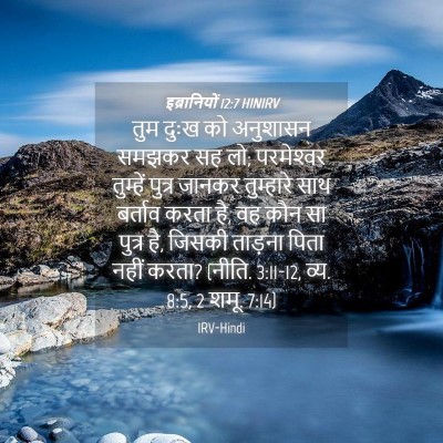 Picture 04 - इब्रानियों 12:7 HINIRV - तुम दुःख को - Bible Verse Picture