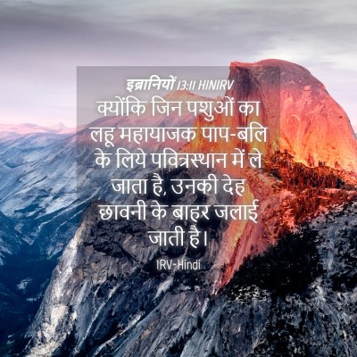 Picture 04 - इब्रानियों 13:11 HINIRV - क्योंकि जिन पशुओं - Bible Verse Picture