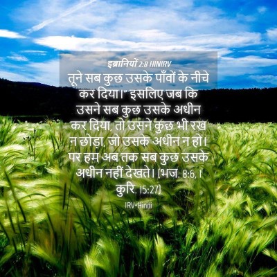 Picture 04 - इब्रानियों 2:8 HINIRV - तूने सब कुछ उसके - Bible Verse Picture