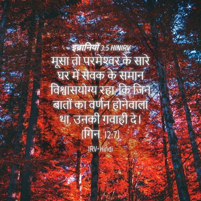 Picture 04 - इब्रानियों 3:5 HINIRV - मूसा तो परमेश्‍वर - Bible Verse Picture