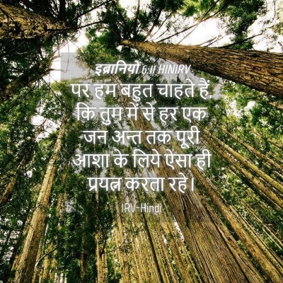 Picture 04 - इब्रानियों 6:11 HINIRV - पर हम बहुत चाहते - Bible Verse Picture