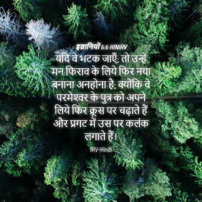 Picture 04 - इब्रानियों 6:6 HINIRV - यदि वे भटक जाएँ; तो - Bible Verse Picture