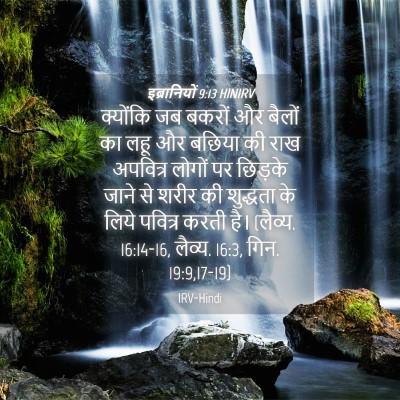 Picture 04 - इब्रानियों 9:13 HINIRV - क्योंकि जब बकरों - Bible Verse Picture