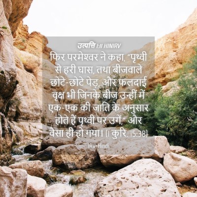 Picture 04 - उत्पत्ति 1:11 HINIRV - फिर परमेश्‍वर ने - Bible Verse Picture