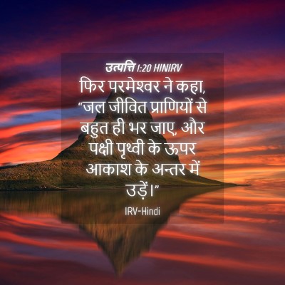 Picture 04 - उत्पत्ति 1:20 HINIRV - फिर परमेश्‍वर ने - Bible Verse Picture