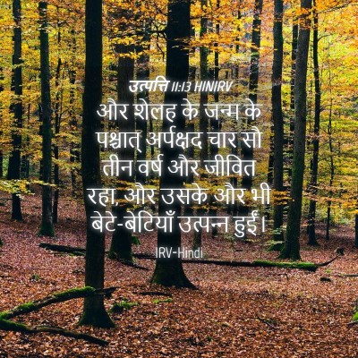Picture 04 - उत्पत्ति 11:13 HINIRV - और शेलह के जन्म के - Bible Verse Picture