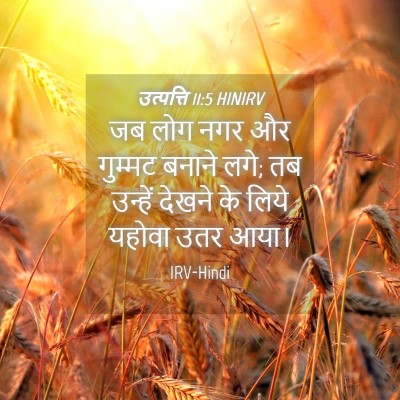 Picture 04 - उत्पत्ति 11:5 HINIRV - जब लोग नगर और - Bible Verse Picture