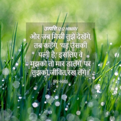 Picture 04 - उत्पत्ति 12:12 HINIRV - और जब मिस्री तुझे - Bible Verse Picture