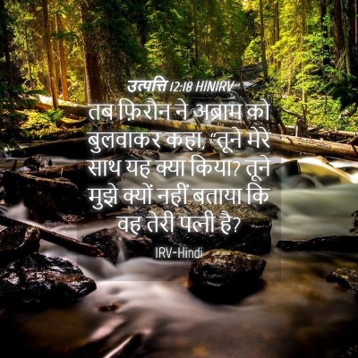 Picture 04 - उत्पत्ति 12:18 HINIRV - तब फ़िरौन ने - Bible Verse Picture