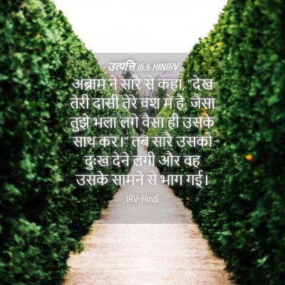 Picture 04 - उत्पत्ति 16:6 HINIRV - अब्राम ने सारै से - Bible Verse Picture
