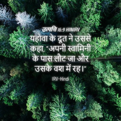 Picture 04 - उत्पत्ति 16:9 HINIRV - यहोवा के दूत ने - Bible Verse Picture