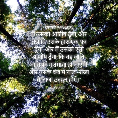 Picture 04 - उत्पत्ति 17:16 HINIRV - मैं उसको आशीष - Bible Verse Picture