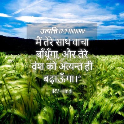 Picture 04 - उत्पत्ति 17:2 HINIRV - मैं तेरे साथ वाचा - Bible Verse Picture