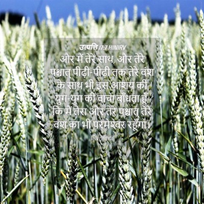 Picture 04 - उत्पत्ति 17:7 HINIRV - और मैं तेरे साथ, और - Bible Verse Picture