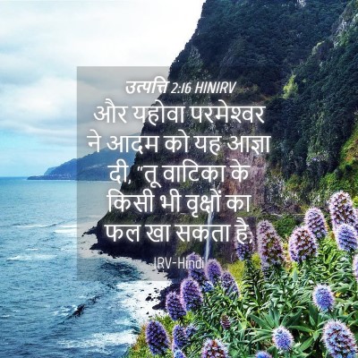 Picture 04 - उत्पत्ति 2:16 HINIRV - और यहोवा - Bible Verse Picture