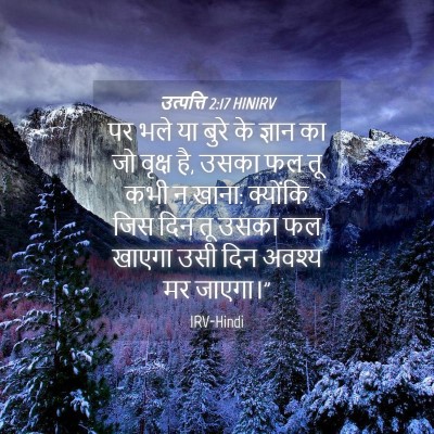 Picture 04 - उत्पत्ति 2:17 HINIRV - पर भले या बुरे के - Bible Verse Picture