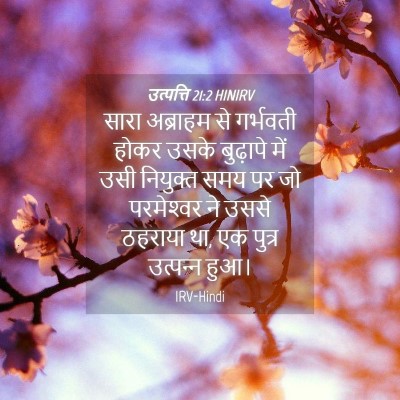 Picture 04 - उत्पत्ति 21:2 HINIRV - सारा अब्राहम से - Bible Verse Picture