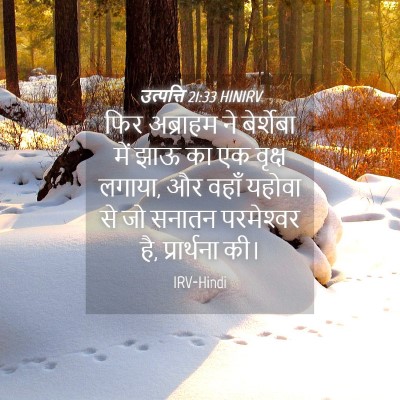 Picture 04 - उत्पत्ति 21:33 HINIRV - फिर अब्राहम ने - Bible Verse Picture