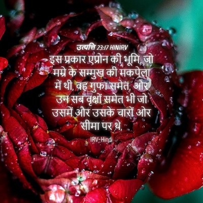 Picture 04 - उत्पत्ति 23:17 HINIRV - इस प्रकार एप्रोन - Bible Verse Picture