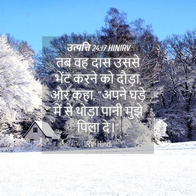 Picture 04 - उत्पत्ति 24:17 HINIRV - तब वह दास उससे भेंट - Bible Verse Picture