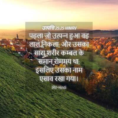 Picture 04 - उत्पत्ति 25:25 HINIRV - पहला जो उत्‍पन्‍न - Bible Verse Picture