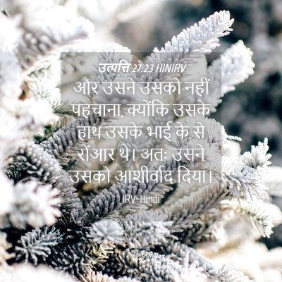 Picture 04 - उत्पत्ति 27:23 HINIRV - और उसने उसको नहीं - Bible Verse Picture
