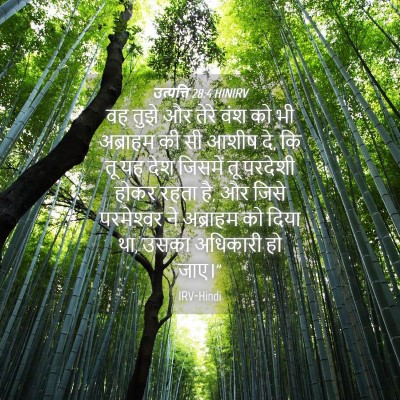 Picture 04 - उत्पत्ति 28:4 HINIRV - वह तुझे और तेरे वंश - Bible Verse Picture