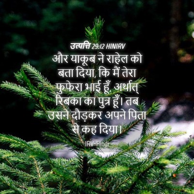 Picture 04 - उत्पत्ति 29:12 HINIRV - और याकूब ने राहेल - Bible Verse Picture