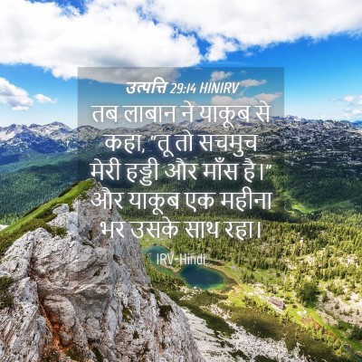 Picture 04 - उत्पत्ति 29:14 HINIRV - तब लाबान ने याकूब - Bible Verse Picture