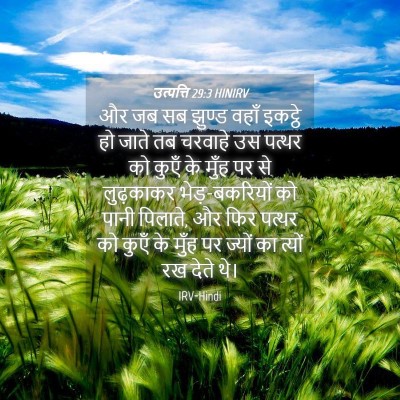 Picture 04 - उत्पत्ति 29:3 HINIRV - और जब सब झुण्ड वहाँ - Bible Verse Picture