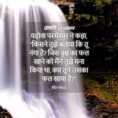 Picture 04 - उत्पत्ति 3:11 HINIRV - यहोवा परमेश्‍वर - Bible Verse Picture