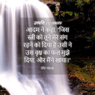 Picture 04 - उत्पत्ति 3:12 HINIRV - आदम ने कहा, “जिस - Bible Verse Picture