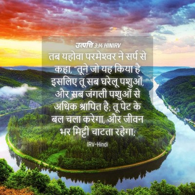 Picture 04 - उत्पत्ति 3:14 HINIRV - तब यहोवा - Bible Verse Picture