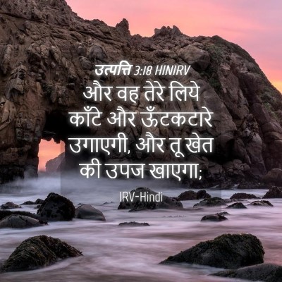 Picture 04 - उत्पत्ति 3:18 HINIRV - और वह तेरे लिये - Bible Verse Picture