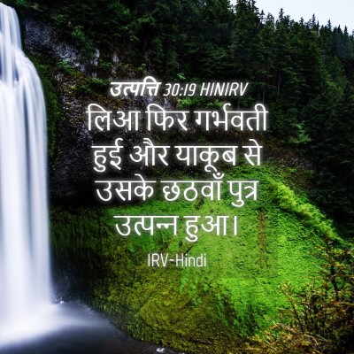 Picture 04 - उत्पत्ति 30:19 HINIRV - लिआ फिर गर्भवती - Bible Verse Picture