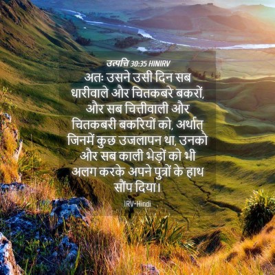 Picture 04 - उत्पत्ति 30:35 HINIRV - अतः उसने उसी दिन सब - Bible Verse Picture