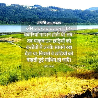 Picture 04 - उत्पत्ति 30:41 HINIRV - और जब-जब बलवन्त - Bible Verse Picture
