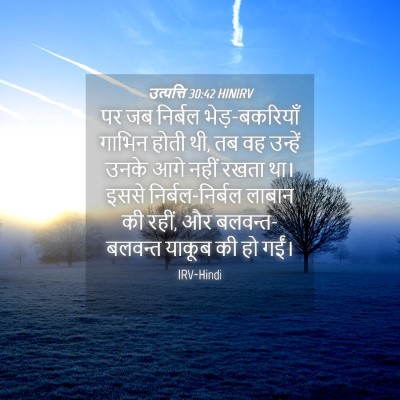 Picture 04 - उत्पत्ति 30:42 HINIRV - पर जब निर्बल - Bible Verse Picture