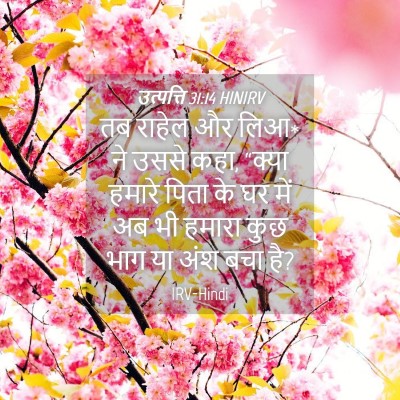Picture 04 - उत्पत्ति 31:14 HINIRV - तब राहेल और लिआ* ने - Bible Verse Picture