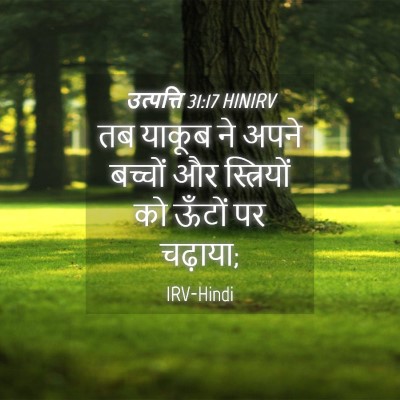 Picture 04 - उत्पत्ति 31:17 HINIRV - तब याकूब ने अपने - Bible Verse Picture