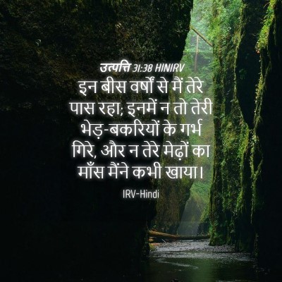 Picture 04 - उत्पत्ति 31:38 HINIRV - इन बीस वर्षों से - Bible Verse Picture