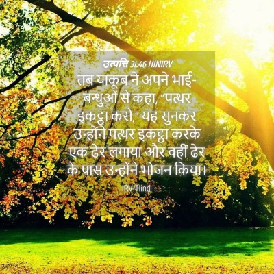 Picture 04 - उत्पत्ति 31:46 HINIRV - तब याकूब ने अपने - Bible Verse Picture