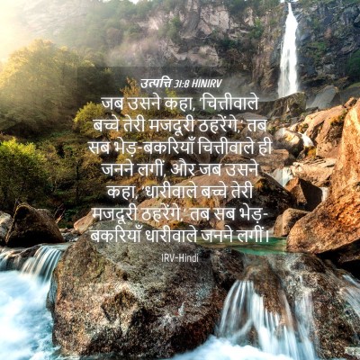 Picture 04 - उत्पत्ति 31:8 HINIRV - जब उसने कहा, - Bible Verse Picture