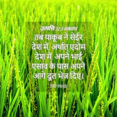 Picture 04 - उत्पत्ति 32:3 HINIRV - तब याकूब ने सेईर - Bible Verse Picture