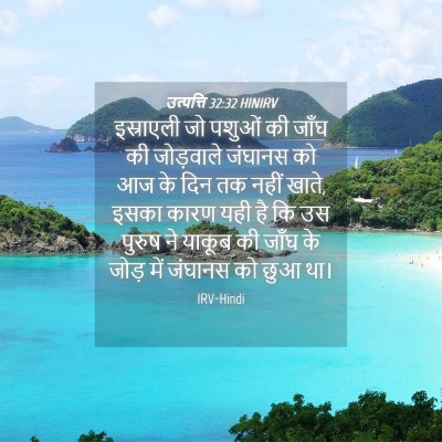 Picture 04 - उत्पत्ति 32:32 HINIRV - इस्राएली जो पशुओं - Bible Verse Picture