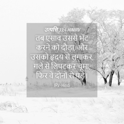 Picture 04 - उत्पत्ति 33:4 HINIRV - तब एसाव उससे भेंट - Bible Verse Picture