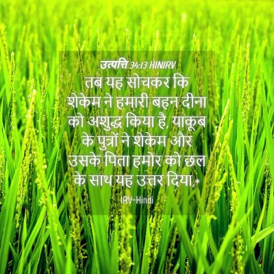 Picture 04 - उत्पत्ति 34:13 HINIRV - तब यह सोचकर कि - Bible Verse Picture