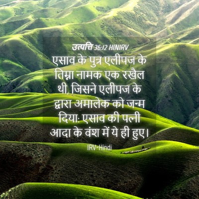 Picture 04 - उत्पत्ति 36:12 HINIRV - एसाव के पुत्र - Bible Verse Picture