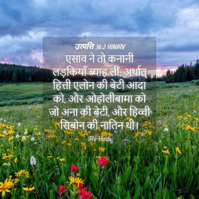 Picture 04 - उत्पत्ति 36:2 HINIRV - एसाव ने तो कनानी - Bible Verse Picture