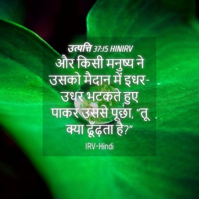 Picture 04 - उत्पत्ति 37:15 HINIRV - और किसी मनुष्य ने - Bible Verse Picture